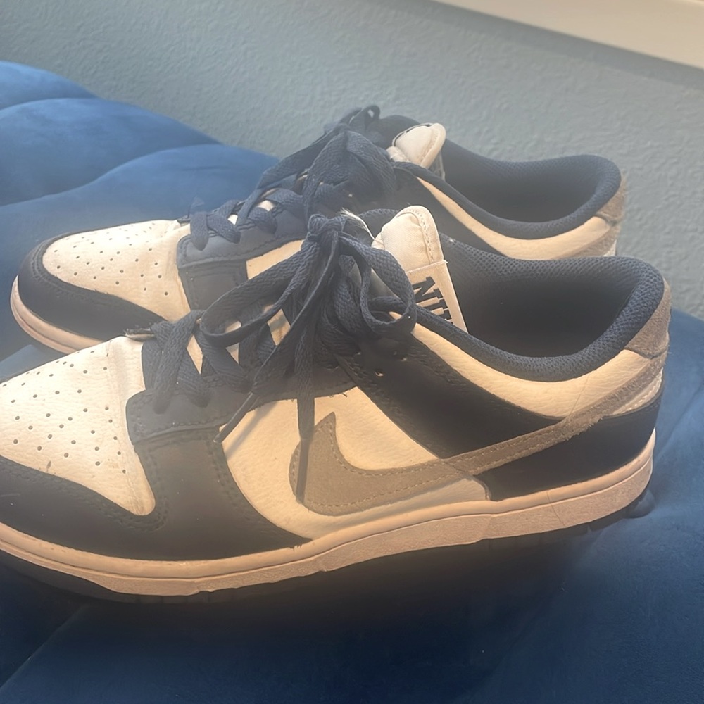Nike Dunks Navy & Gray